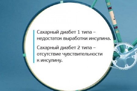 Мы такие разные, но всё-таки мы вместе!

