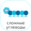 Имеют сложную структуру, должны разложиться в желудочно-кишечном тракте до простых углеводов, которые и попадают в кровь.